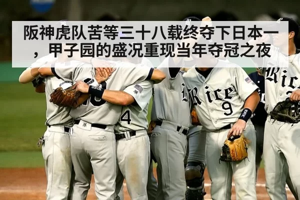 阪神虎队苦等三十八载终夺下日本一,甲子园的盛况重现当年夺冠之夜