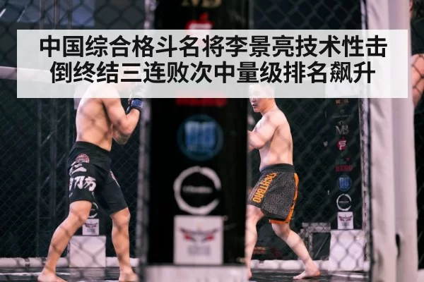 MMA cage fight