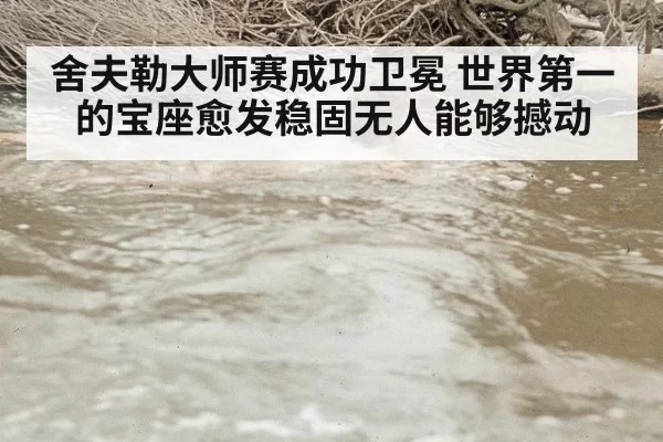 舍夫勒大师赛成功卫冕 世界第一的宝座愈发稳固无人能够撼动
