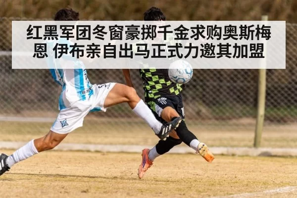 红黑军团冬窗豪掷千金求购奥斯梅恩 伊布亲自出马正式力邀其加盟