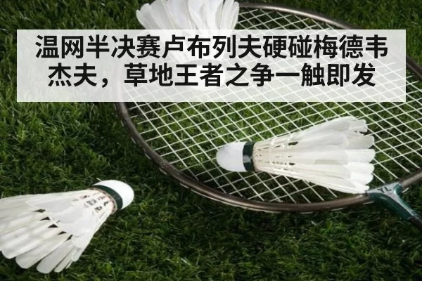 温网半决赛卢布列夫硬碰梅德韦杰夫,草地王者之争一触即发